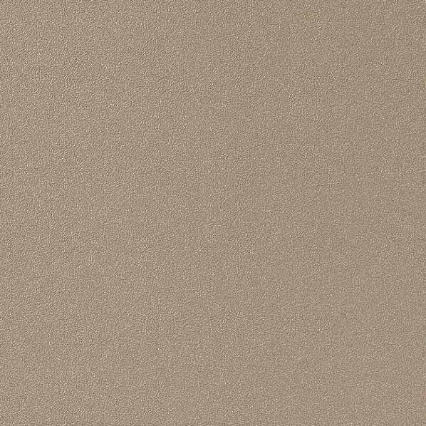サンゲツ 粘着剤付化粧フィルムリアテックメタリックMochaBeige W1,220mm×1m TR-5152 1巻...