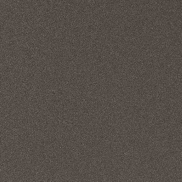 サンゲツ 粘着剤付化粧フィルムリアテックメタリックGunmetalGray W1,220mm×1m TR-5155 1巻...