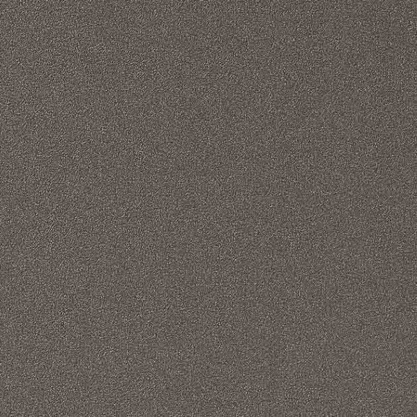 サンゲツ 粘着剤付化粧フィルムリアテックメタリックWarmGray W1,220mm×1m TR-5542 1巻...