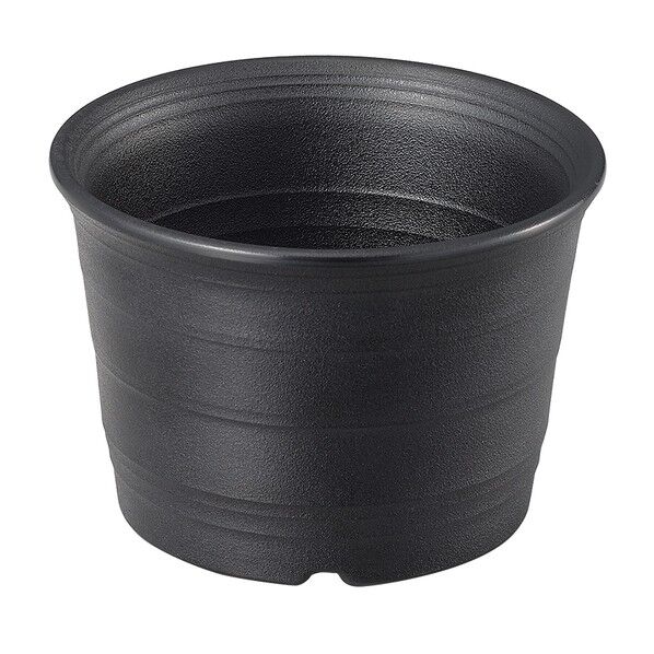 マルチカップ 渦紋