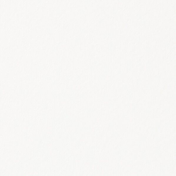 粘着剤付化粧フィルムリアテック(EggshellMatte)単色