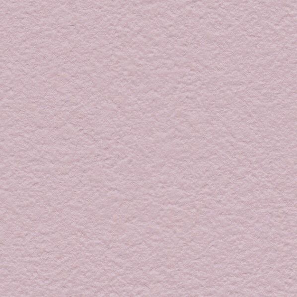 壁紙 リザーブ 生活の色 Autumn Harvest 彩秋の収穫 コスモス