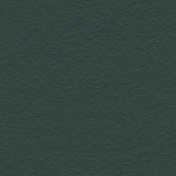 壁紙 リザーブ 生活の色 Winter Forest 冬の森林 もみの木