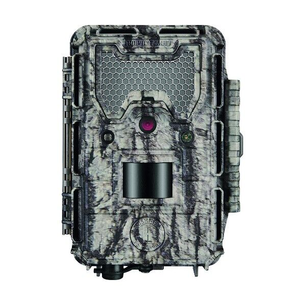 トロフィーカムXLT 24MP ローグロウ 119875C 1点