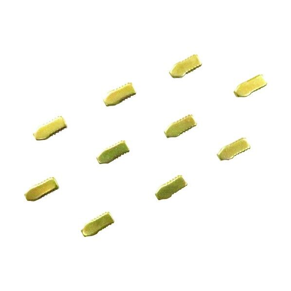 コアーディプレッサー(10個入)