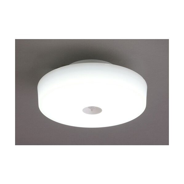 249706 小型シーリングライト メタルサーキットシリーズ 2000lm 人感センサー付 昼白色