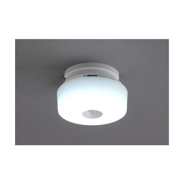 249697 小型シーリングライト メタルサーキットシリーズ 600lm 人感センサー付 昼光色