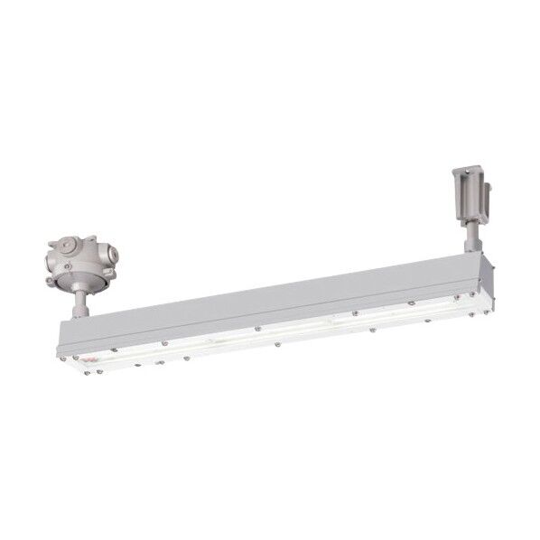 岩崎電気 安全増防爆形LED照明器具Hf32w×1灯用高出力相当(直付) EYICL1021SA9-22 1点