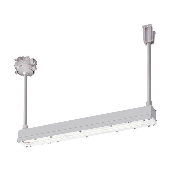岩崎電気 安全増防爆形LED照明器具Hf32w×1灯用高出力相当(パイプ吊り) EYICL2021SA9-28 1点