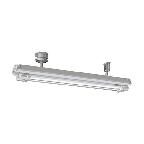 岩崎電気 防爆形LED照明器具 EXILF1421BSA9U1-22 1点