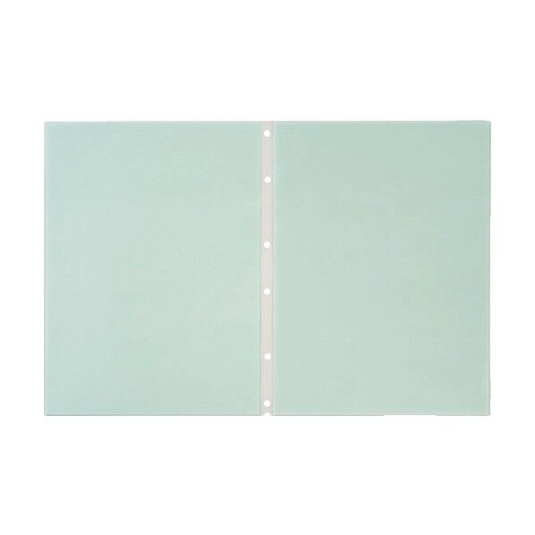 クリアーFエコノミー ヒクタスP S