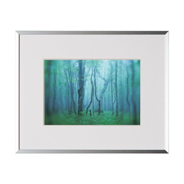 アルミ額縁 ギャラリー