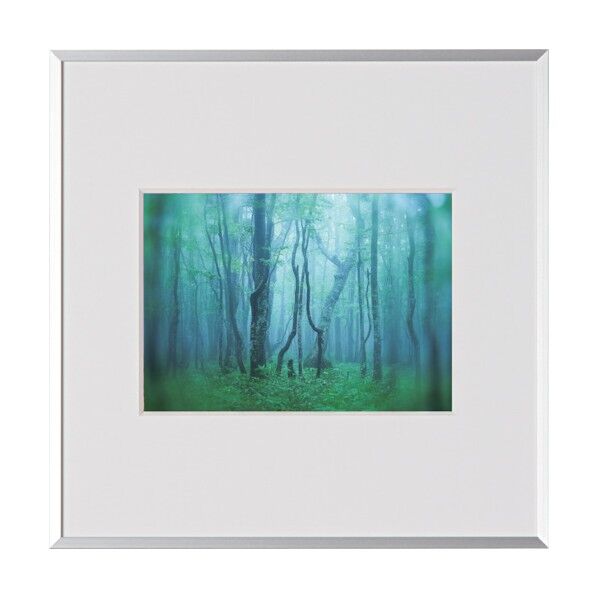 アルミ額縁 ギャラリー 2Lスクエア シルバー AGY-2LSQ-SV 1箱