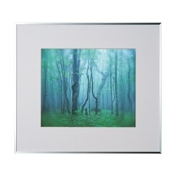 アルミ額縁 ギャラリー 四切