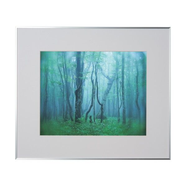 アルミ額縁 ギャラリー 半切