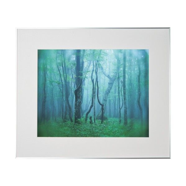 アルミ額縁 ギャラリー 全紙