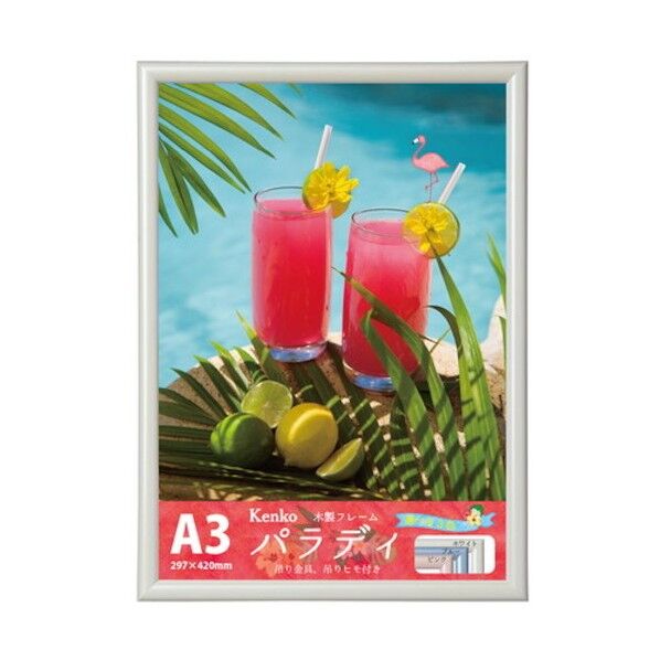 ダイレクトフレーム パラディ A3