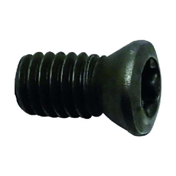 ネジ GT、GLT、MSSCPF MST-2.5S 1点