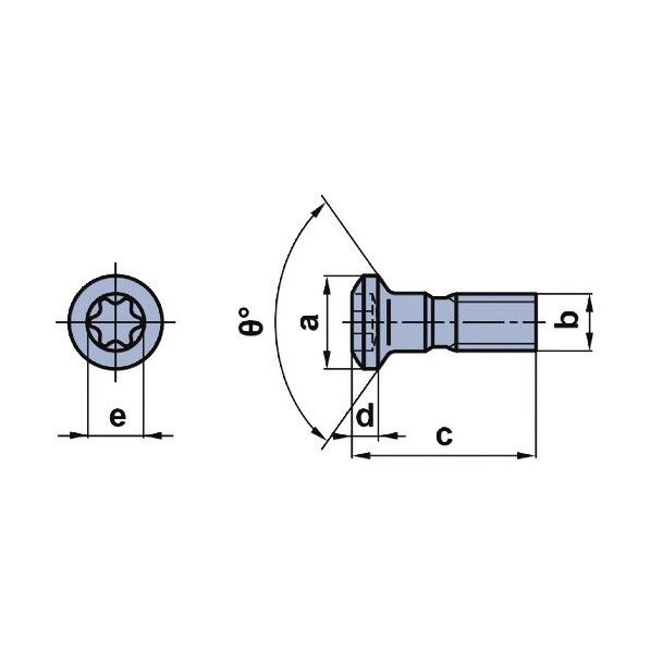 旋削ホルダ用部品 クランプ駒用ねじ AJS5014T25 1点