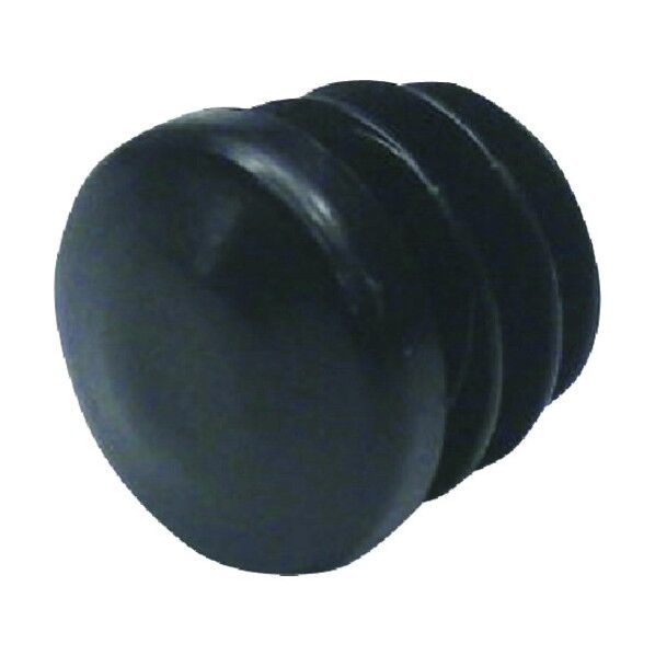 パイジョン PM317 1点