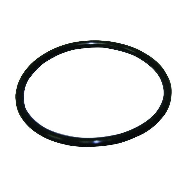 日本フイルター フイルター NFH-A-5 ヘッド用OリングEPDM F461-0100-000 1点