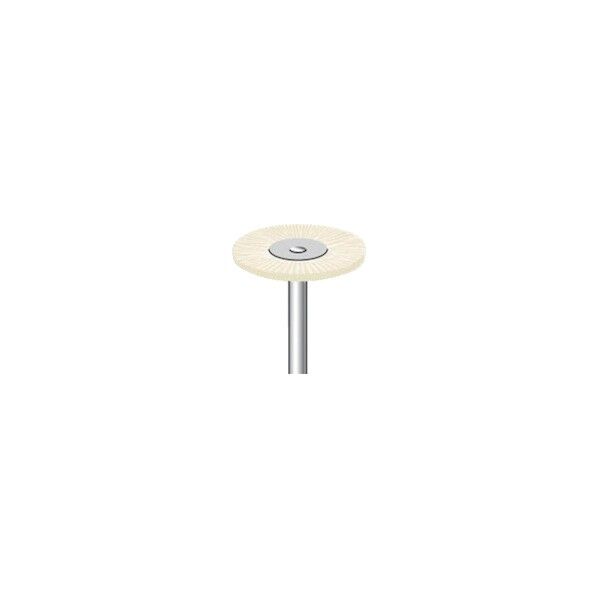 毛ブラシ ハード 豚毛 10本入 ホイール型 23×1×3mm 50114 10点