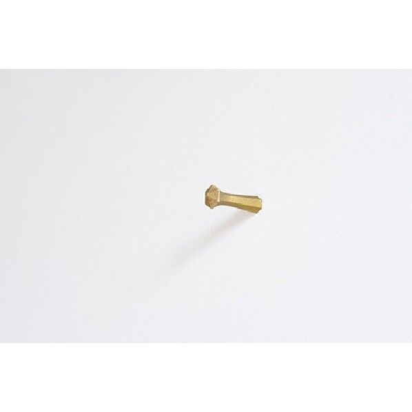 ウォールフック ねじ込み 小 木ネジ15mm