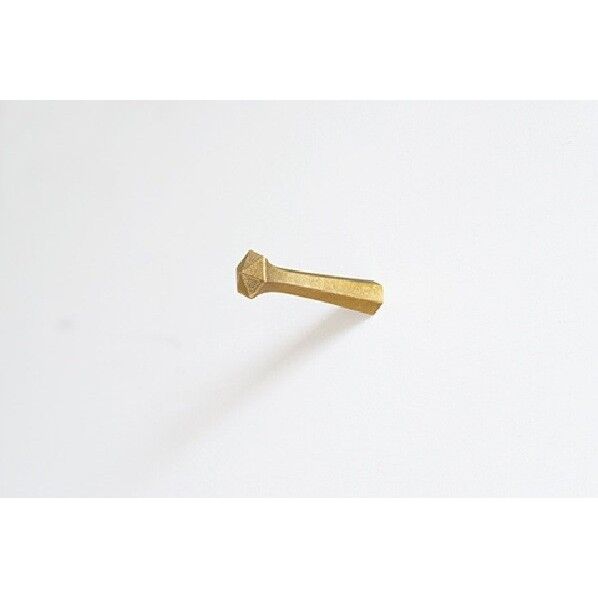 ウォールフック ねじ込み 大 木ネジ15mm