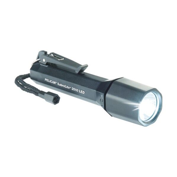 セーバーライト 2010