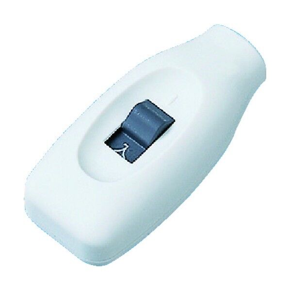 10Aペンダントスイッチ