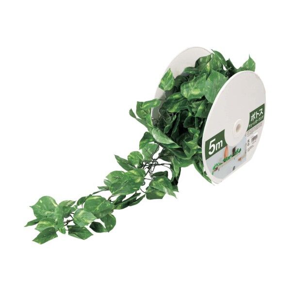 ポトスチェーン(5m) 葉径5～8cm GLA-1537 1m