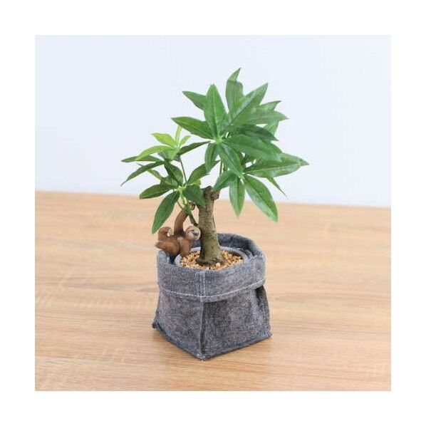 コーヒーノキフェルトポットナマケモノ 全長29cm  ポット:H:10cm x W:10cmx xD:10cm  動物:H:6cm x W:3.8cm x D4cm GLA-1521FA 1本