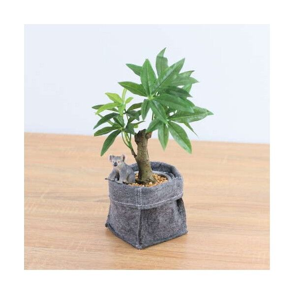 コーヒーノキフェルトポットコアラ 全長29cm ポット:H:10cm x W:10cmx xD:10cm 動物:H:4.8cm x W4.5cm x D3.7cm GLA-1521FB 1本