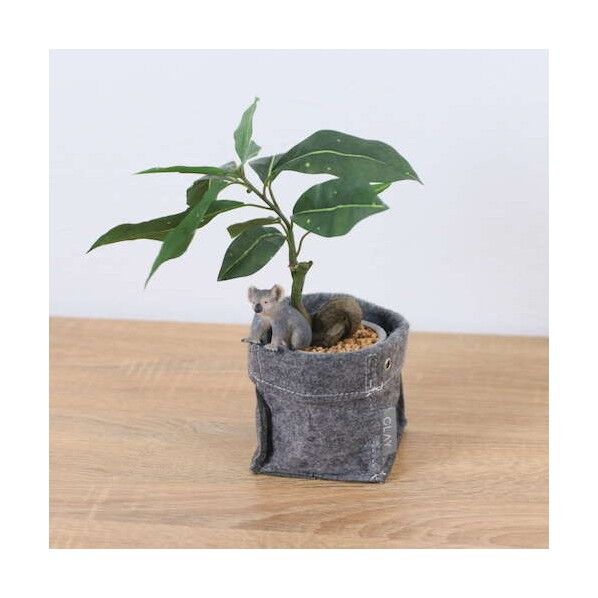 パキラフェルトポットコアラ 全長32cm ポット:H:10cm x W:10cmx xD:10cm 動物:H:4.8cm x W4.5cm x D3.7cm GLA-1522FB 1本