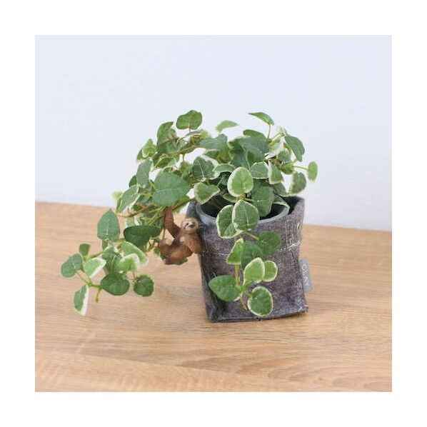 プミラフェルトポットナマケモノ 全長24cm  ポット:H:10cm x W:10cmx xD:10cm  動物:H:6cm x W:3.8cm x D4cm GLA-1529FA 1本