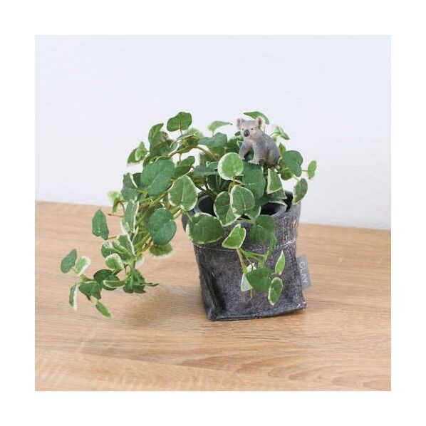 プミラフェルトポットコアラ 全長24cm  ポット:H:10cm x W:10cmx xD:10cm  動物:H:4.8cm x W4.5cm x D3.7cm GLA-1529FB 1本
