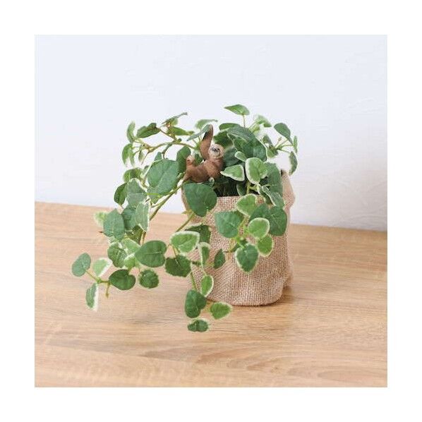 プミラアサポットナマケモノ 全長24cm  ポット:φ11.5cm x H11.5cm 動物:H:6cm x W:3.8cm x D4cm GLA-1529JA 1本