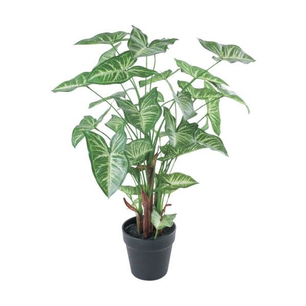 シンゴニウムポット グリーン 全長70cm・幅45cm ポットφ13.5cm×H13.0cm GLA-1542GR 1本