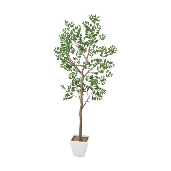 トネリコツリー グリーン 全長130cm・幅60cm ポット□17cm×H16cm GLA-1545GR 1本