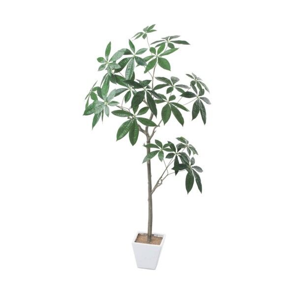 グリーン 全長150cm・幅100cm ポット□17cm×H16cm GLA-1546GR 1本