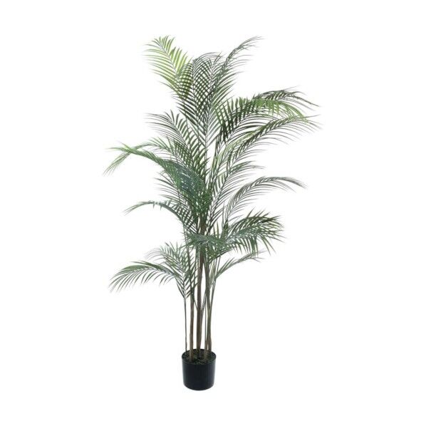 アレカヤシ グリーン 全長150cm･幅80cm ポットφ15cm×H12.5cm GLP-1534GR 1本