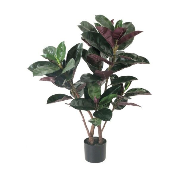 フィカスバーガンディーポット バーガンディー 全長100cm・幅70cm 鉢:φ15cm×H13cm GLP-1535BUR 1本