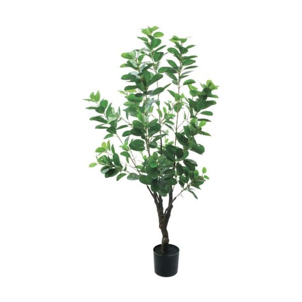 アポロゴム グリーン 全長115cm・幅50cm・ポットφ12.5cm・H11.5cm GLP-1537GR 1本