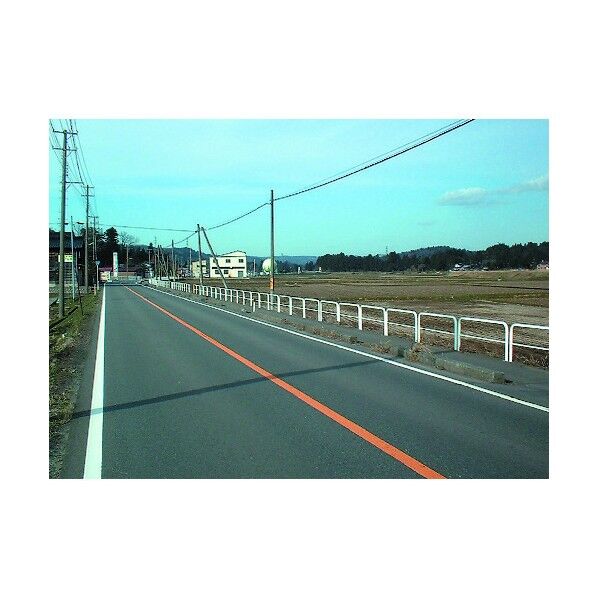 セイフテイパイプ シロ シチュウカンカク=3000 H=800 TP-8P2-30W 1点