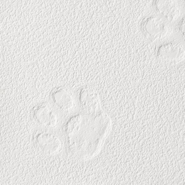 壁紙 リザーブ パターン ルームエアー(消臭)