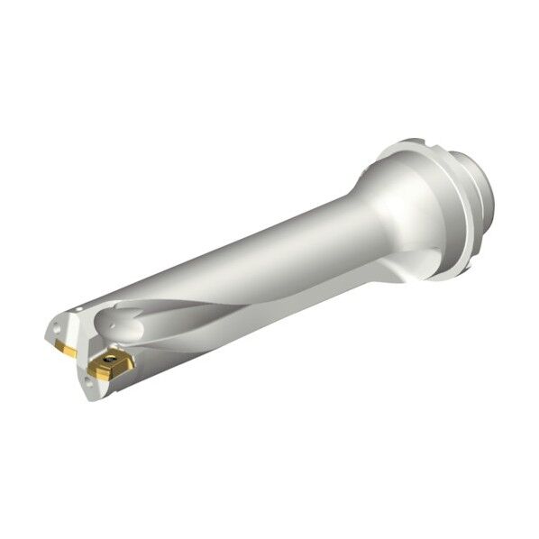 コロドリルDS20刃先交換式ドリル(465)