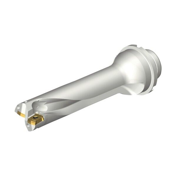 コロドリルDS20刃先交換式ドリル(465)