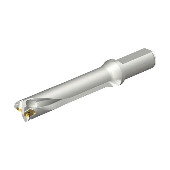 コロドリルDS20刃先交換式ドリル(465)