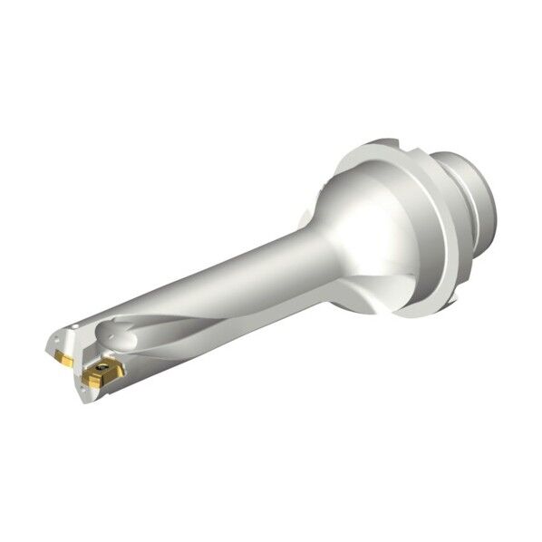 コロドリルDS20刃先交換式ドリル(465)