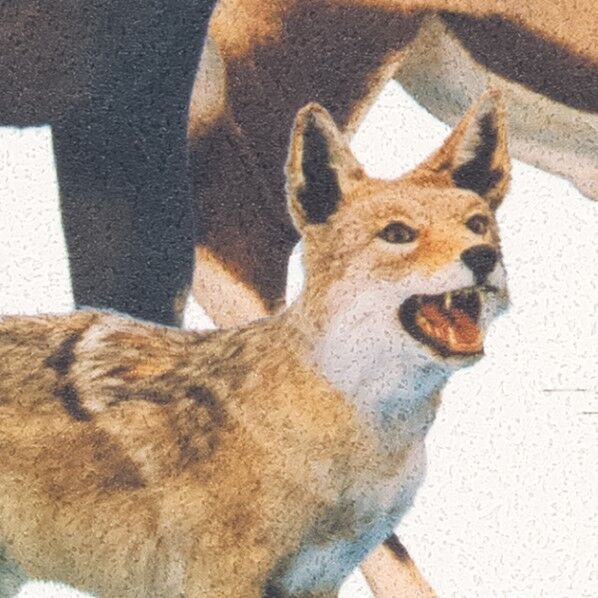 壁紙 リザーブ パターン 国立科学博物館 陸生哺乳類